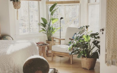 A Few Ground Rules For Decorating Rentals