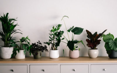 Top Rental Hacks of All time