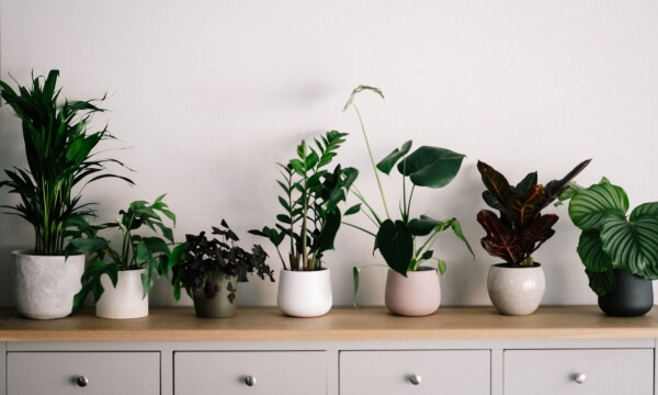 Top Rental Hacks of All time